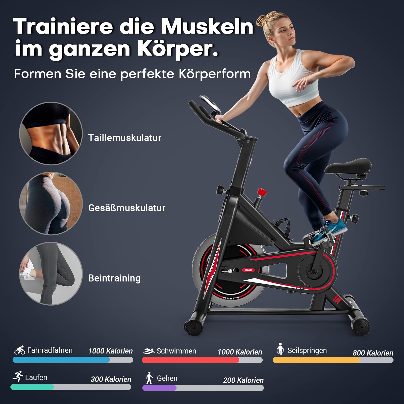 DMASUN Heimtrainer Fahrrad [Aktualisiert] - Ergometer mit einstellbarem magnetischem Widerstand, höhenverstellbar, Indoor Cycling Bike, 160kg